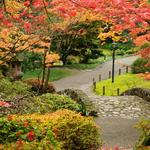 Washington Park Arboretum UW Botanic Gardens