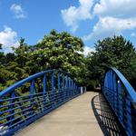 Tennessee River Walk