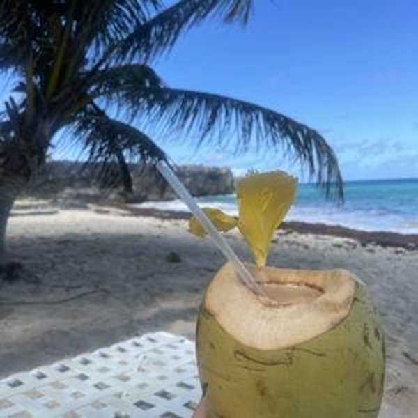Honeymoon Fund