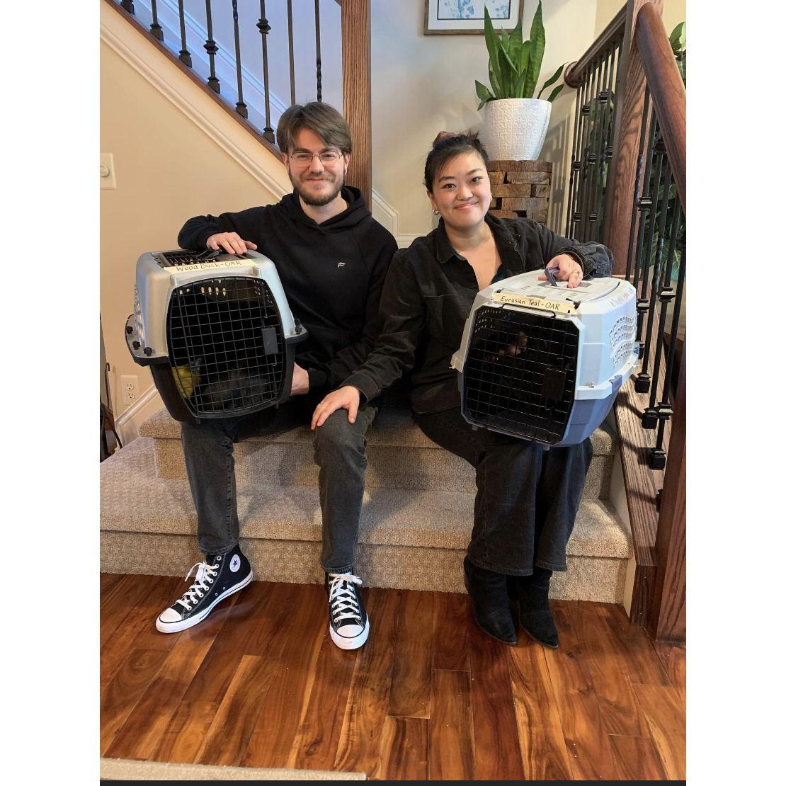 Adoption Day for our cats Karma and Kenobi