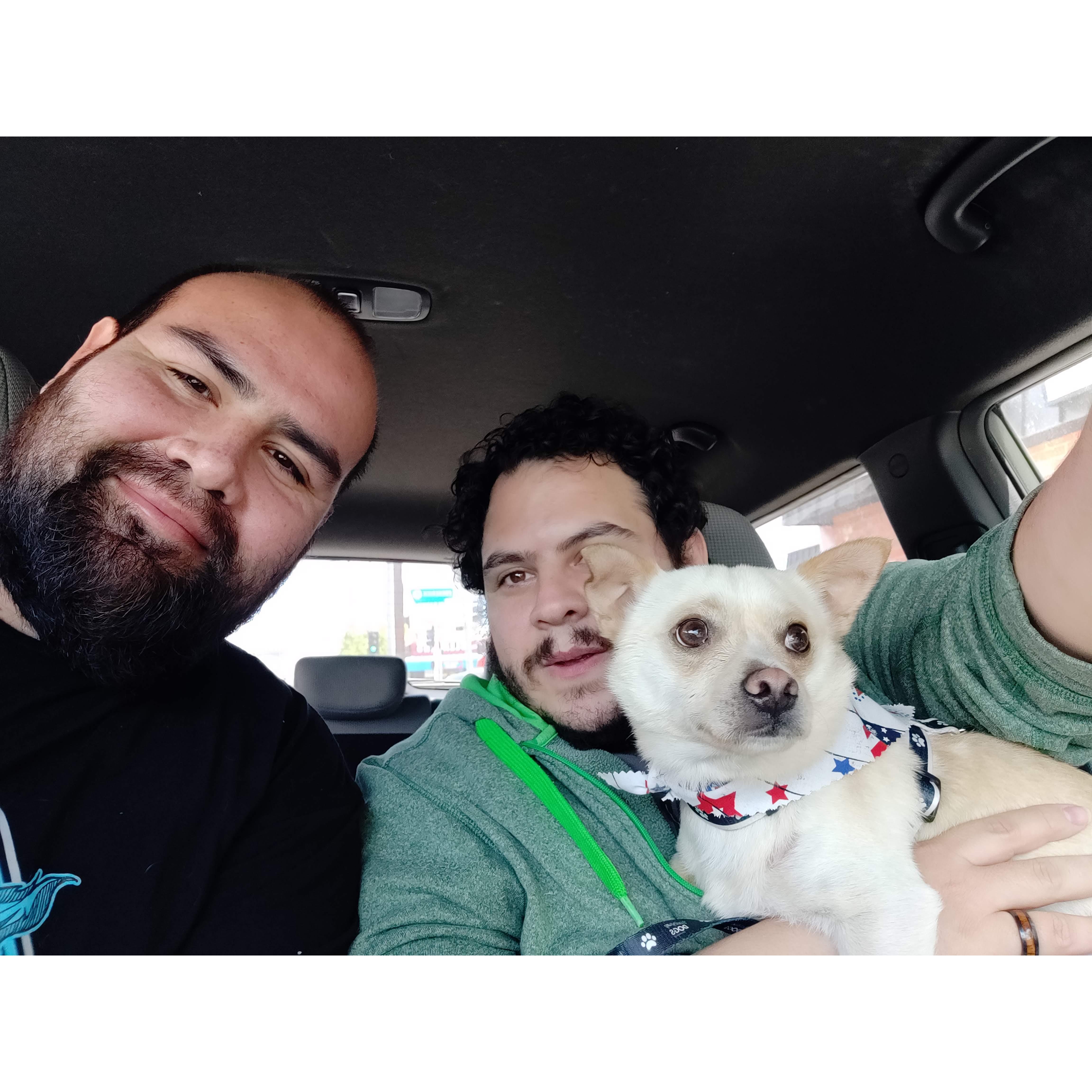 The day we adopted Boba Milk Tea