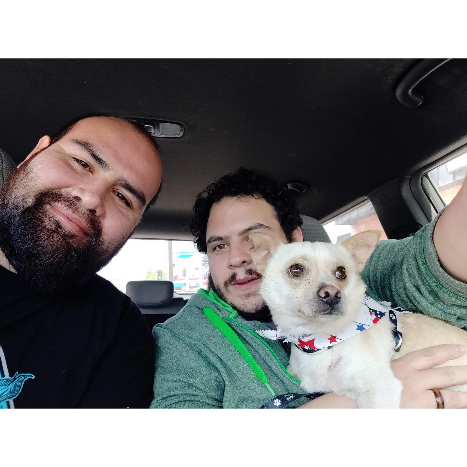 The day we adopted Boba Milk Tea