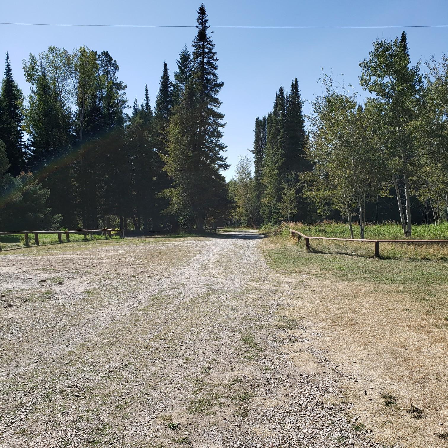 Road up to the camp
