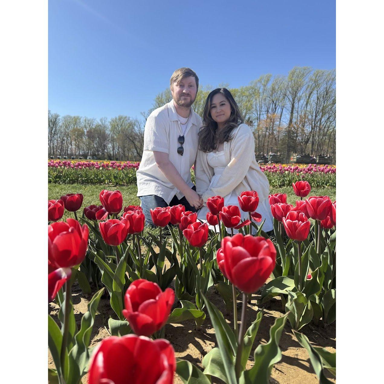 Holland Ridge Tulip Farm