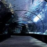 Oklahoma Aquarium