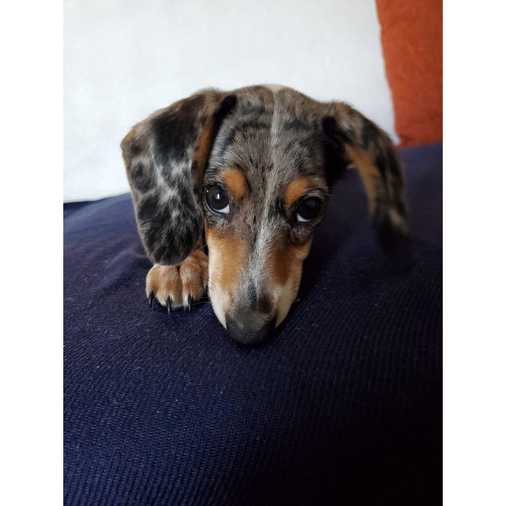 Ok, last one. I'm sorry... it's just that she's so cute!