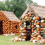 Cheekwood Botanical Gardens & Estate