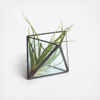 Geometric Prism Air Plant Terrarium