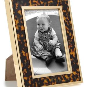 Aerin Tortoise Inlay 4X6 Frame