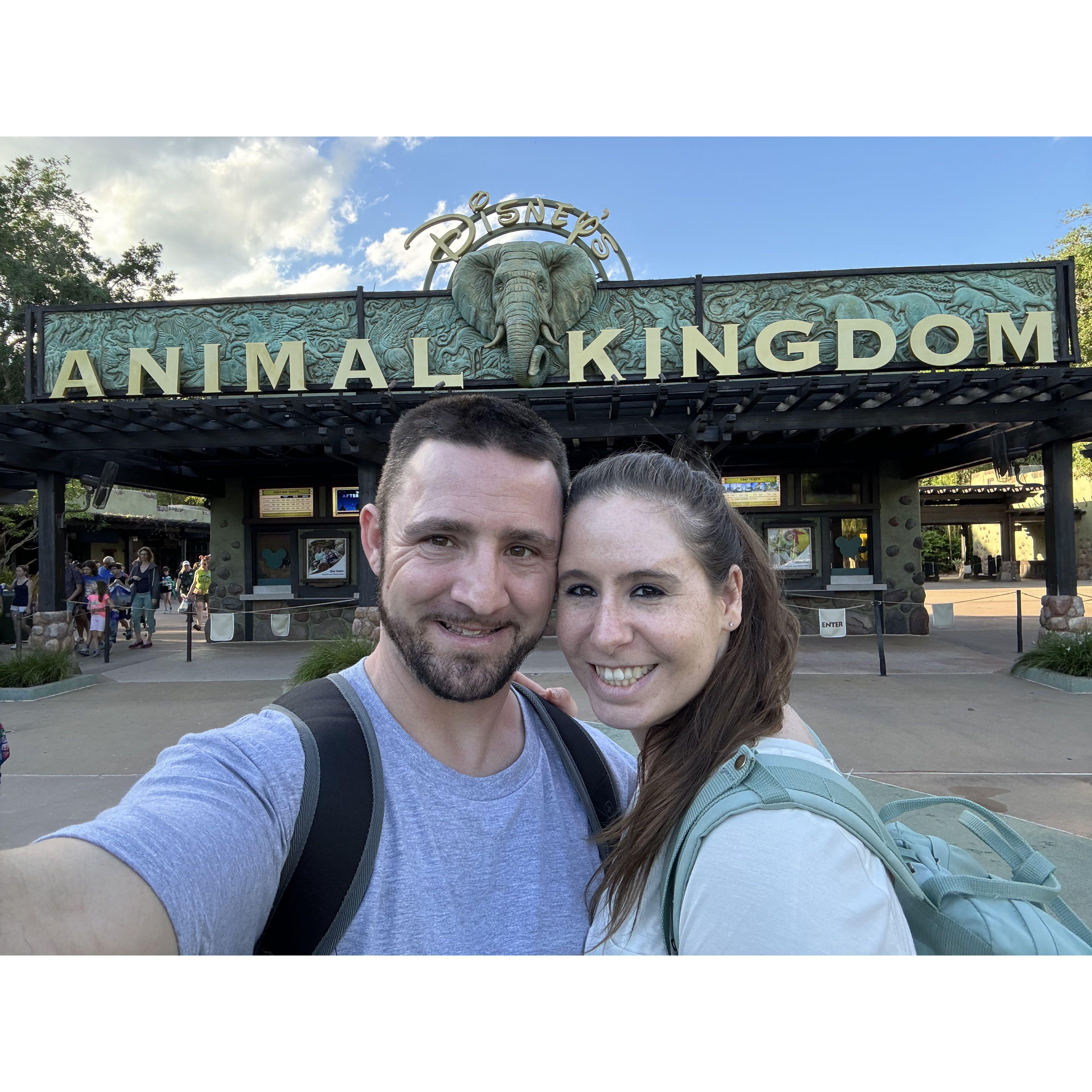 Animal Kingdom April 2024 FL