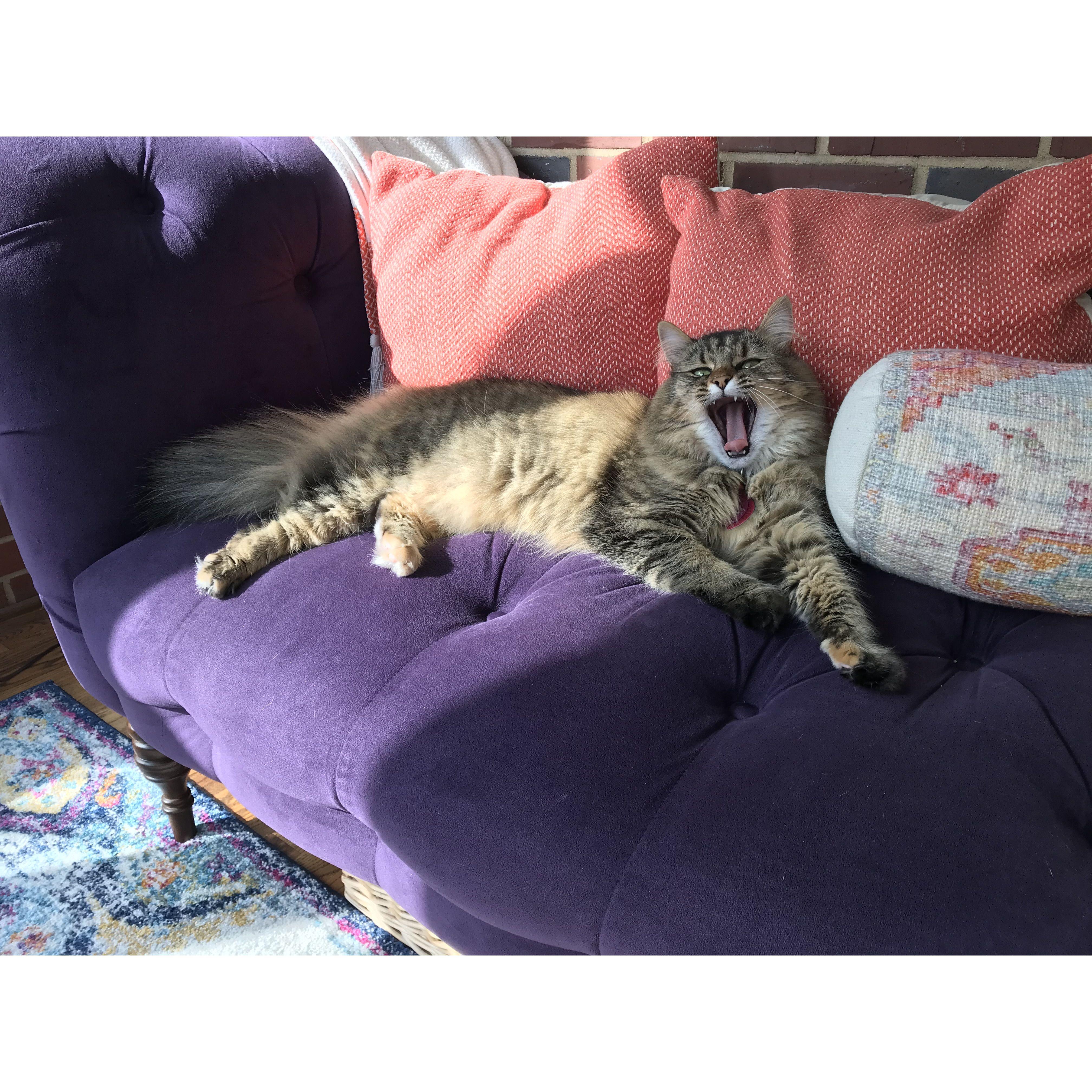 Our first child, Osha