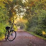 Paul Bunyan State Trail