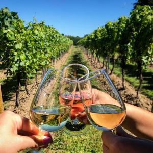 Morgan's Sommelier Education