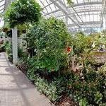 The Key West Butterfly and Nature Conservatory