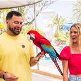 Meet the Macaws at Baha Bay