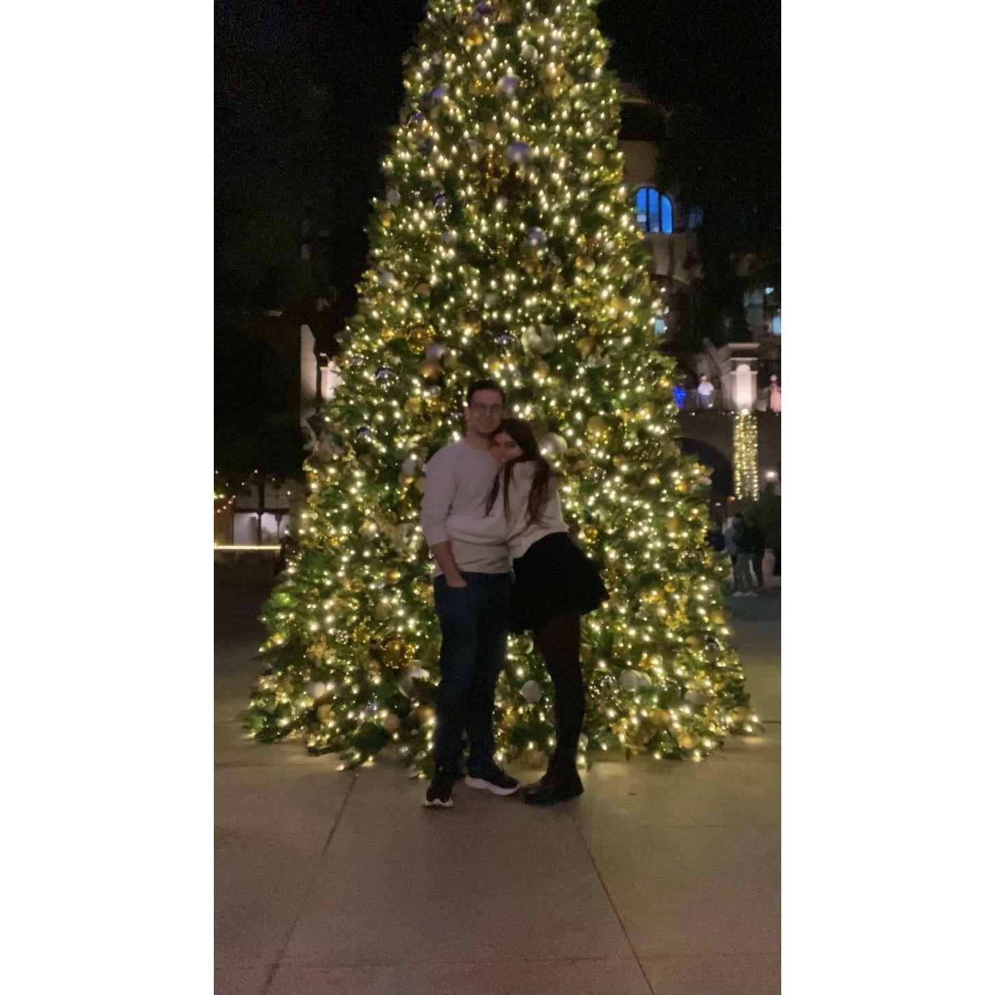 During that first trip to California, Nat showed David the only interesting part of her hometown (the Festival of Lights in Riverside)