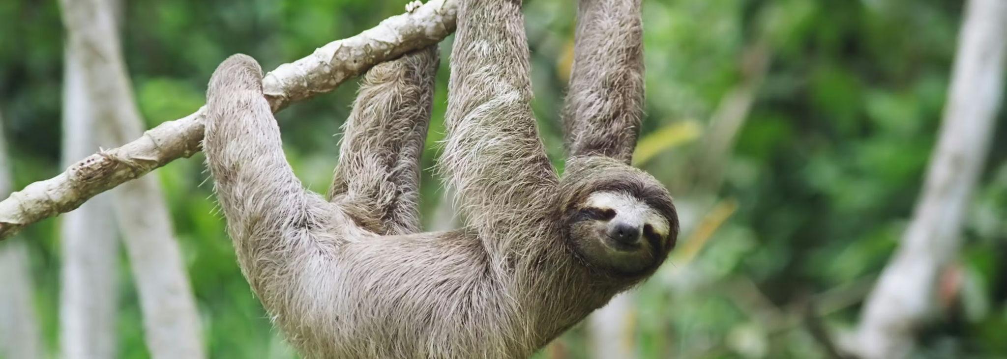 The Wedding Website of Bryce Arthur and Siobhán Curran