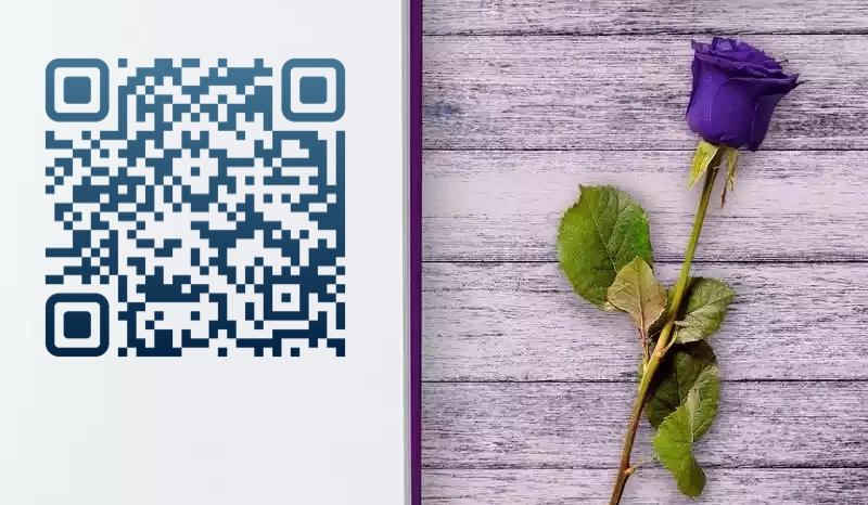 The Wedding Website of Ikea Ryan and Elizabeth Nelson