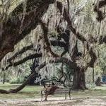 City Park