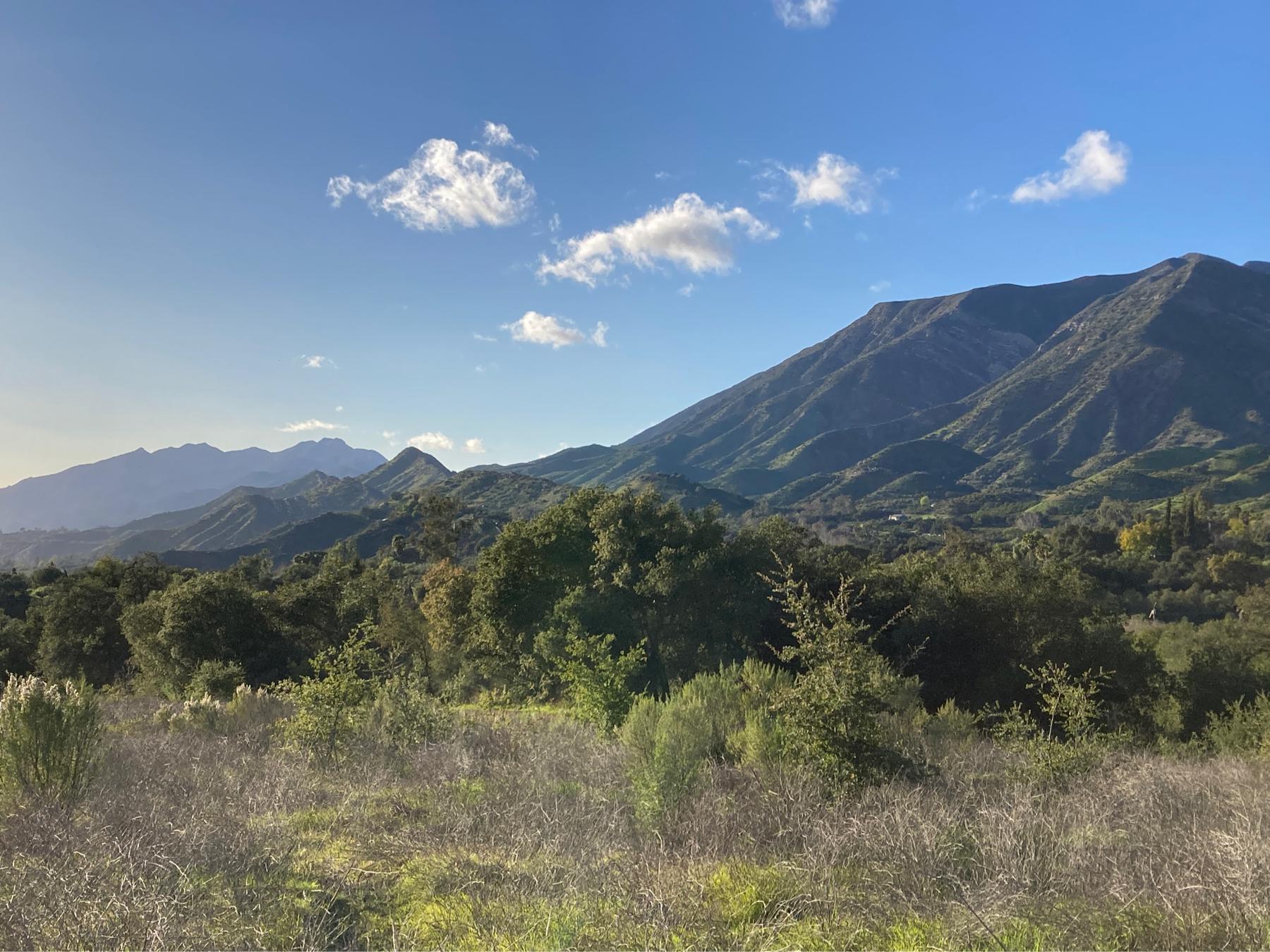 The Wedding Website of Madi Manson and Ben Bishop