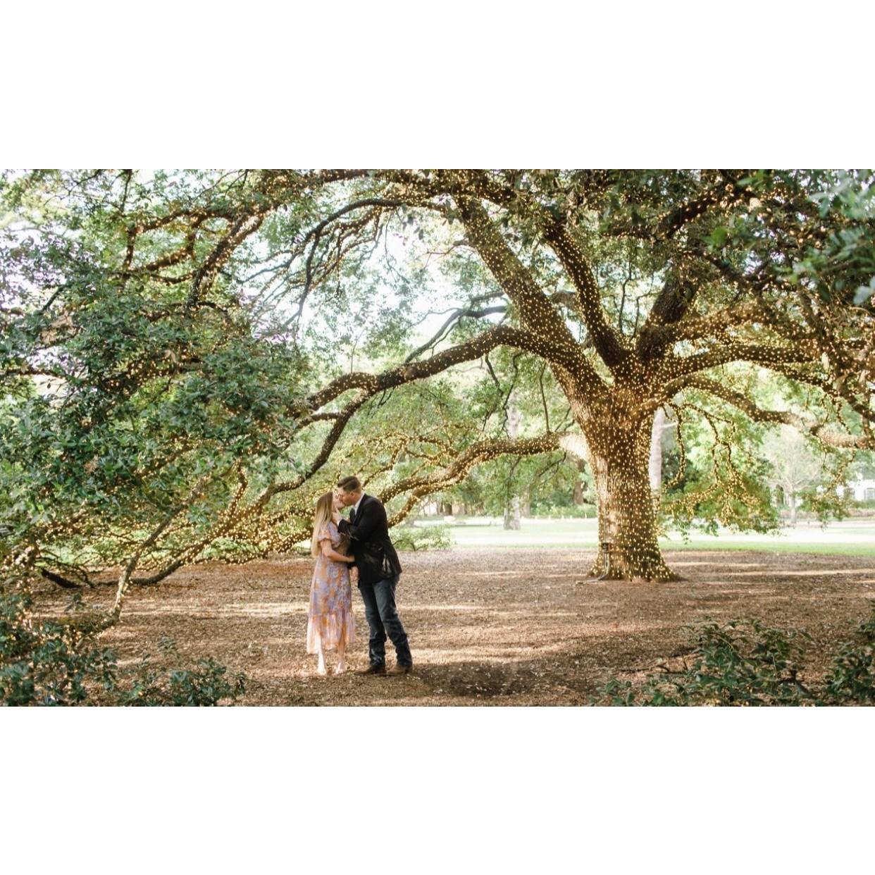 Matthew proposed at the Houstonian and it was truly beautiful. Look at this tree!