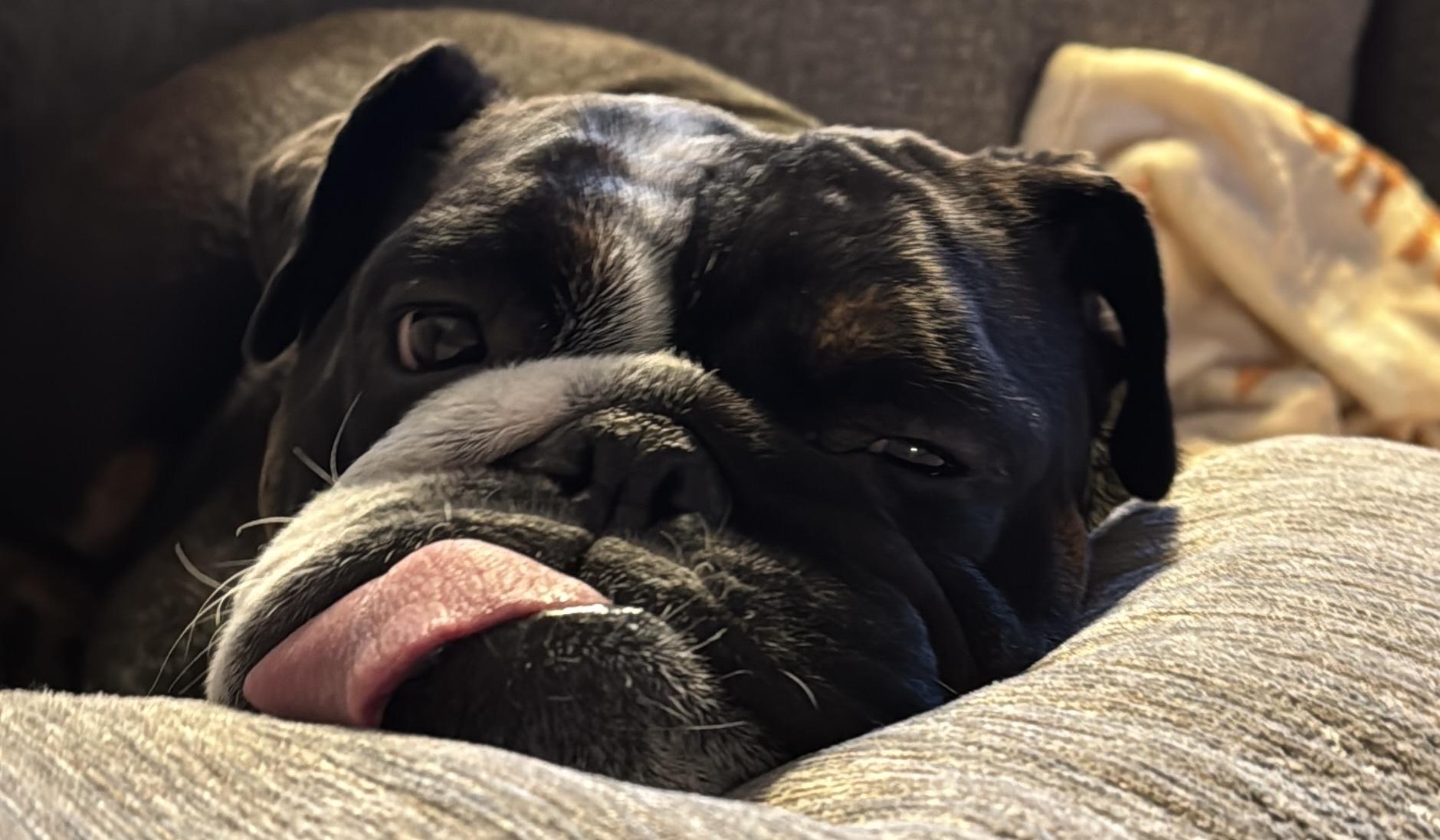 e42bb849-6c58-4042-9d8c-4042d5acca71