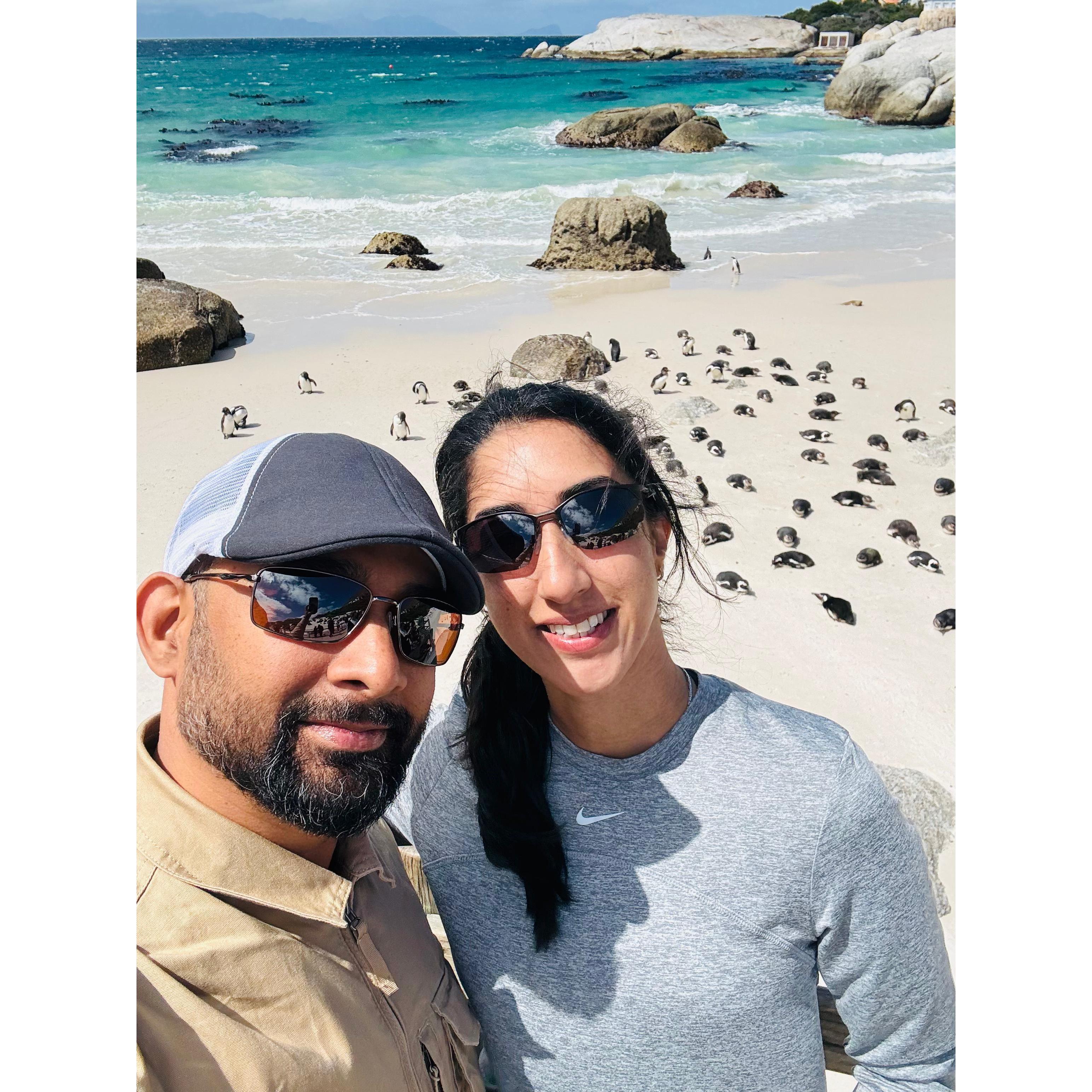 Chillin with the African Penguins in South Africa