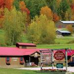 Vermont Maple Outlet