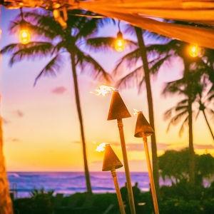 Honeymoon Excursion - Luau