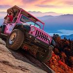 Smoky Mountains Pink Jeep Tours