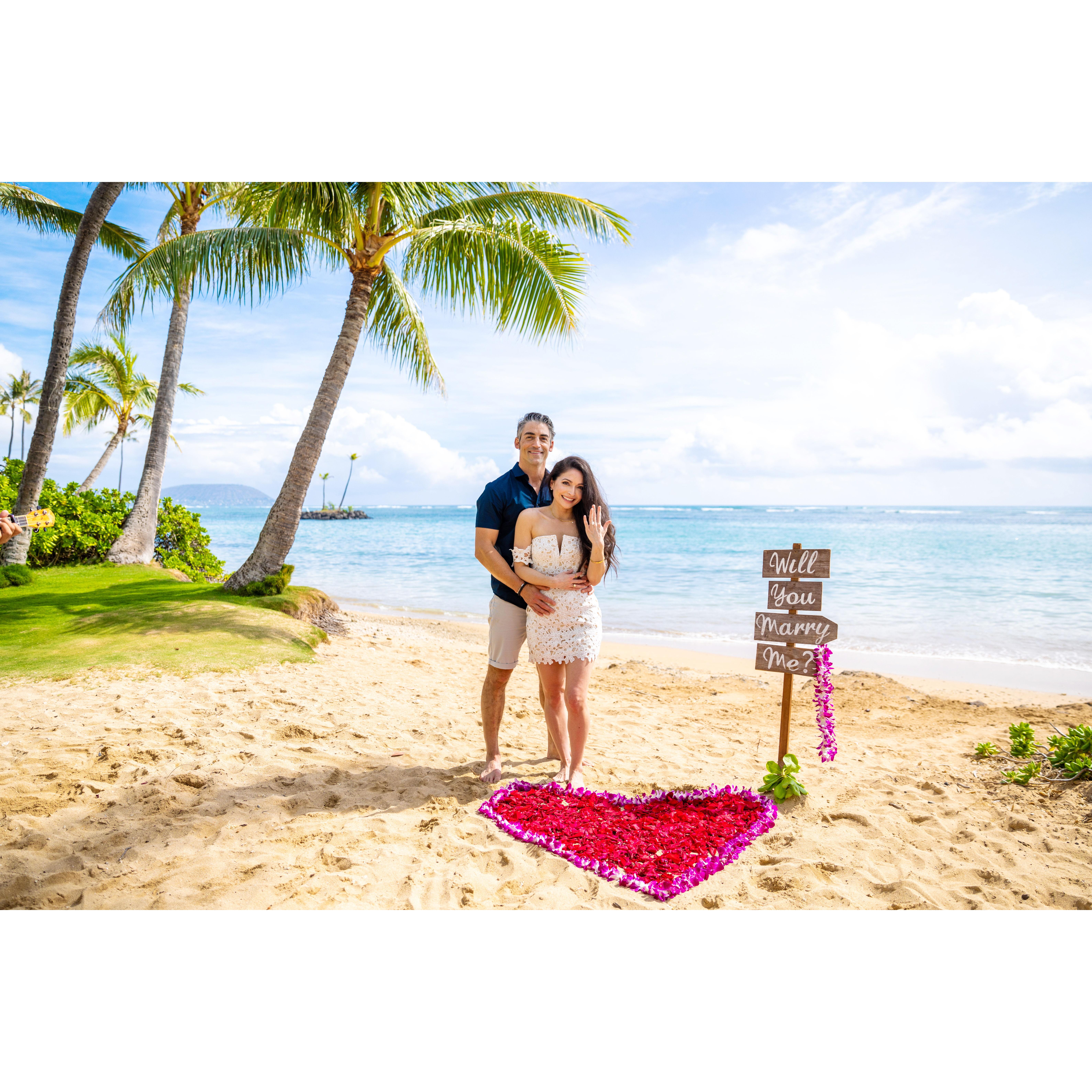 Proposal at Kahaluu Beach on O'ahu, Hawaii