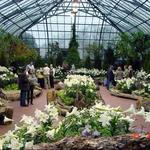 Krohn Conservatory