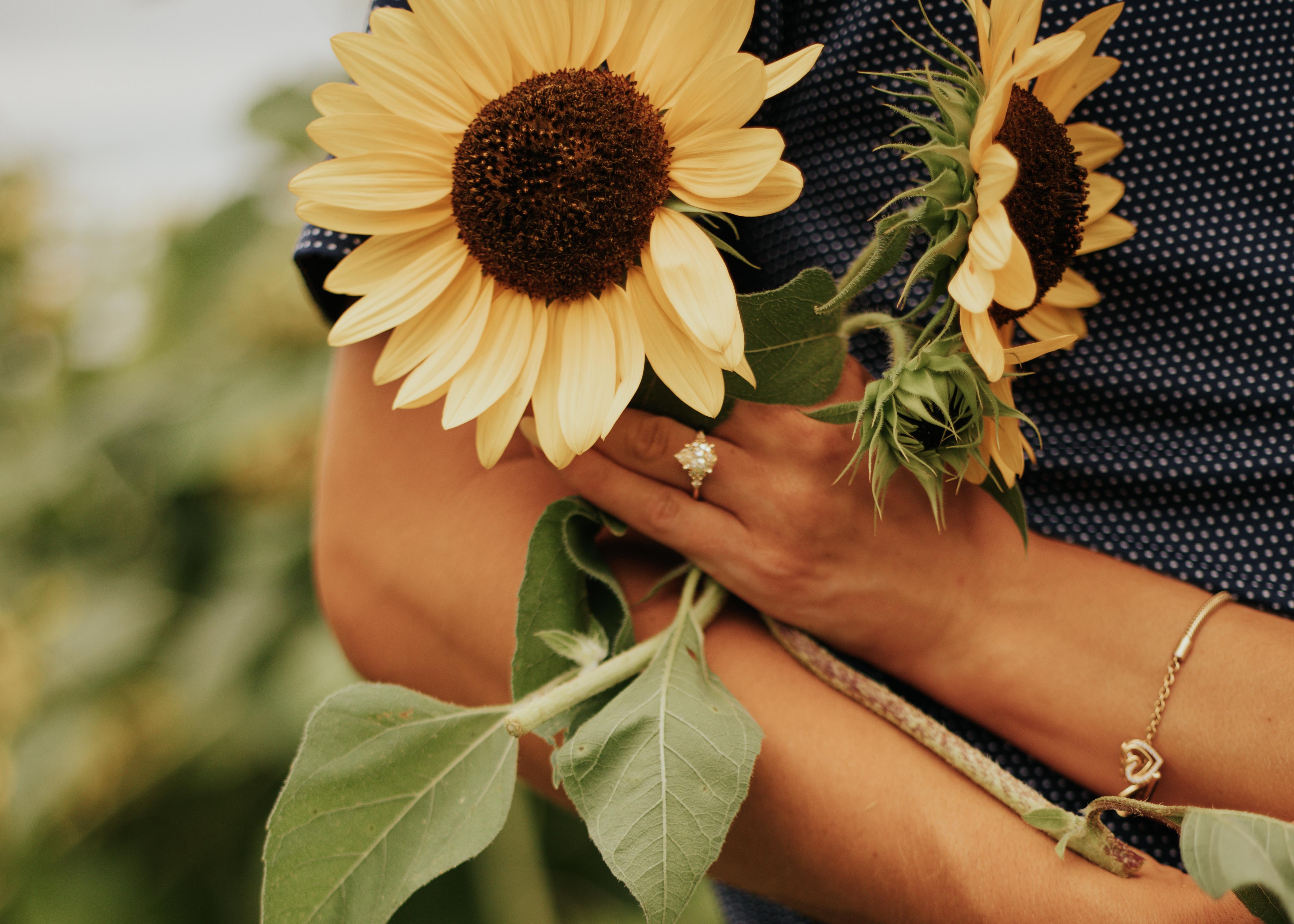 The Wedding Website of Matthew Nevin and Carley Sweeney