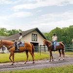 The Omni Homestead Resort Activities