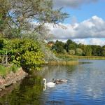 10. Hesperia Park
