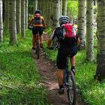 Bike Rentals