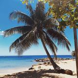 Black Eagle Beach
