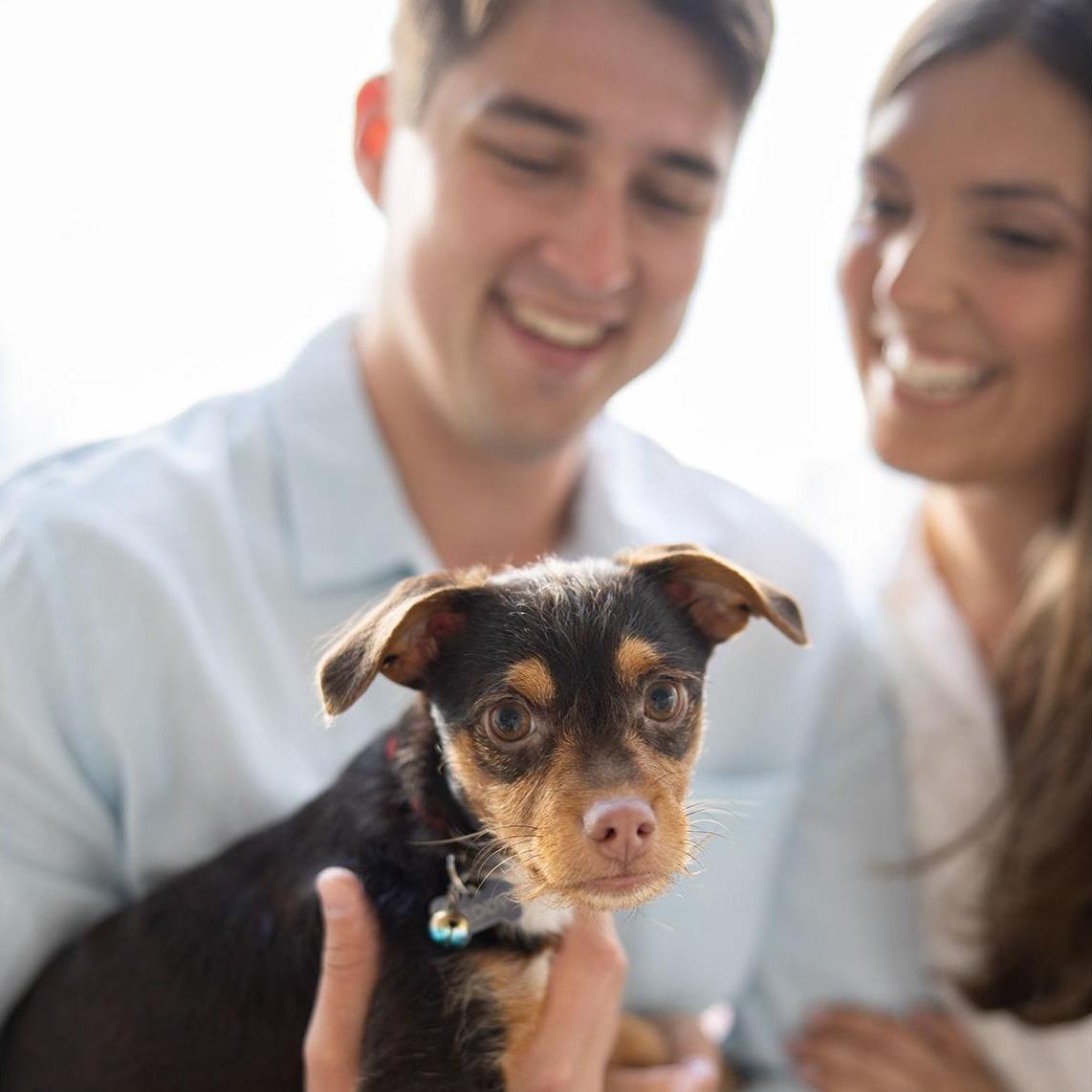 Home with Teddy: June 2025