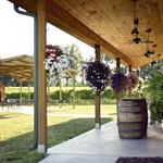 White Squirrel Winery