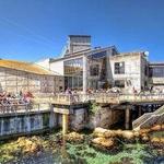 Monterey Bay Aquarium