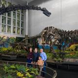 Carnegie Museum of Natural History