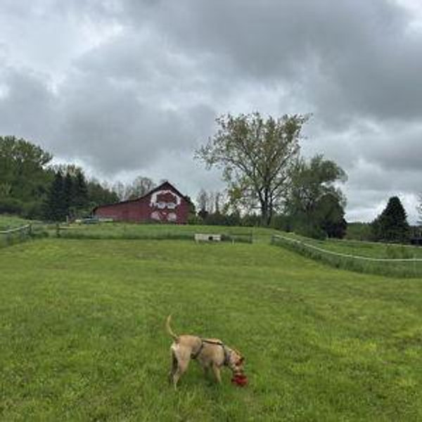 Sniffspot