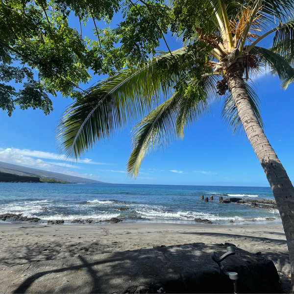 Honeymoon Adventures