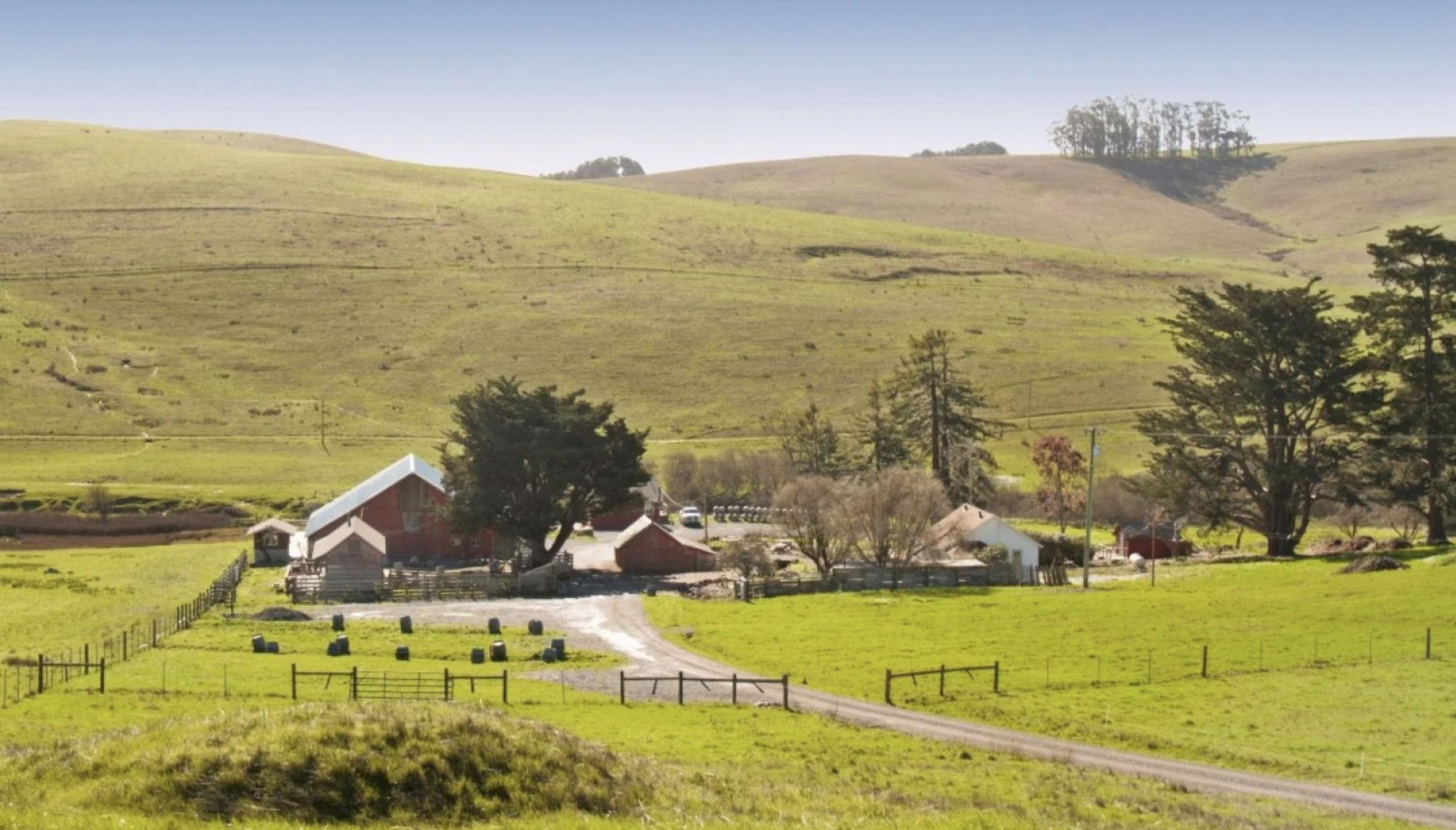 The Wedding Website of Whitney Liehr and John Mahowald