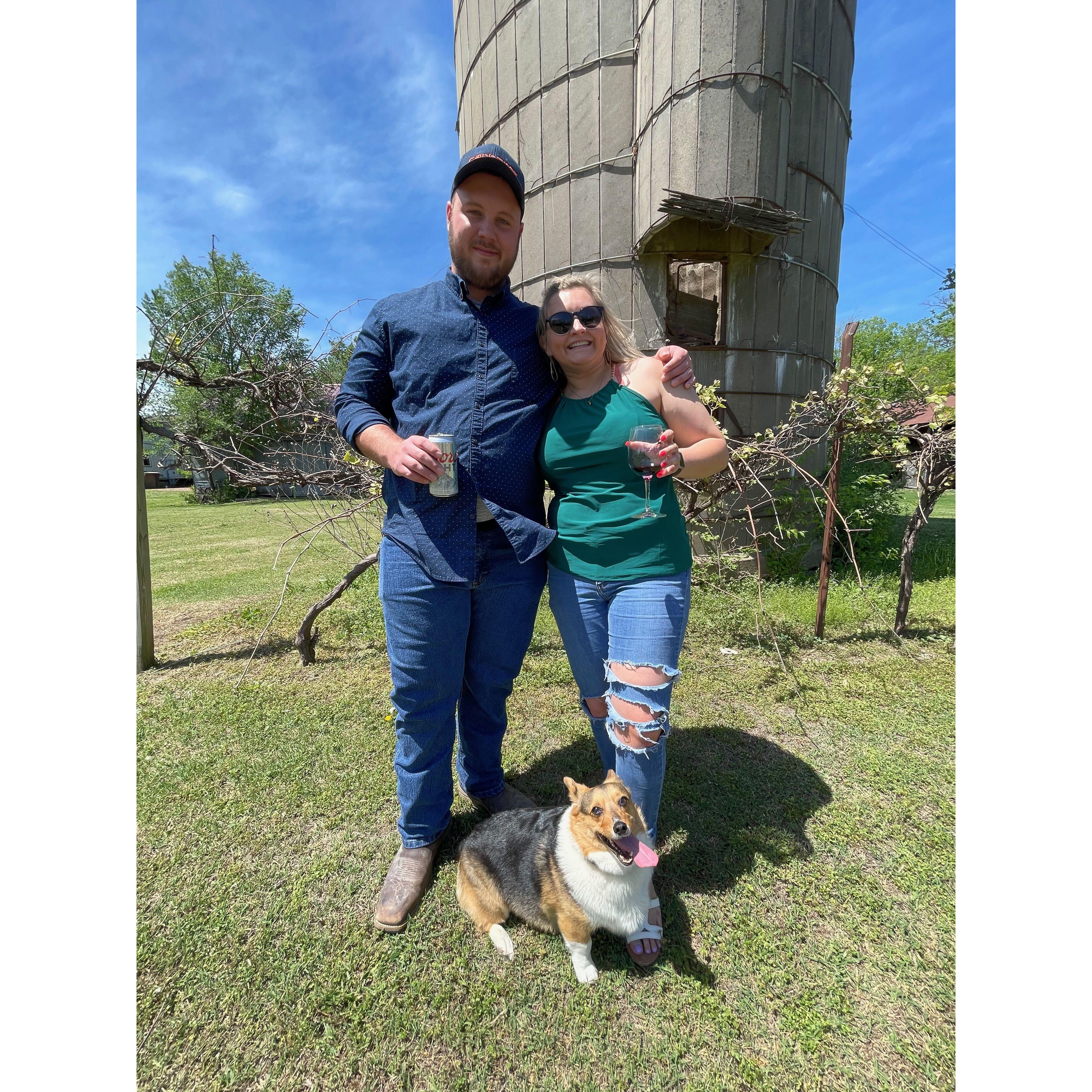 Dog Days at Grace Hill Winery in May 2021