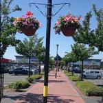 Bentley Bridge Leisure Park