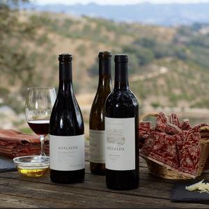 Wine Tasting