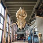 Grand Rapids Public Museum