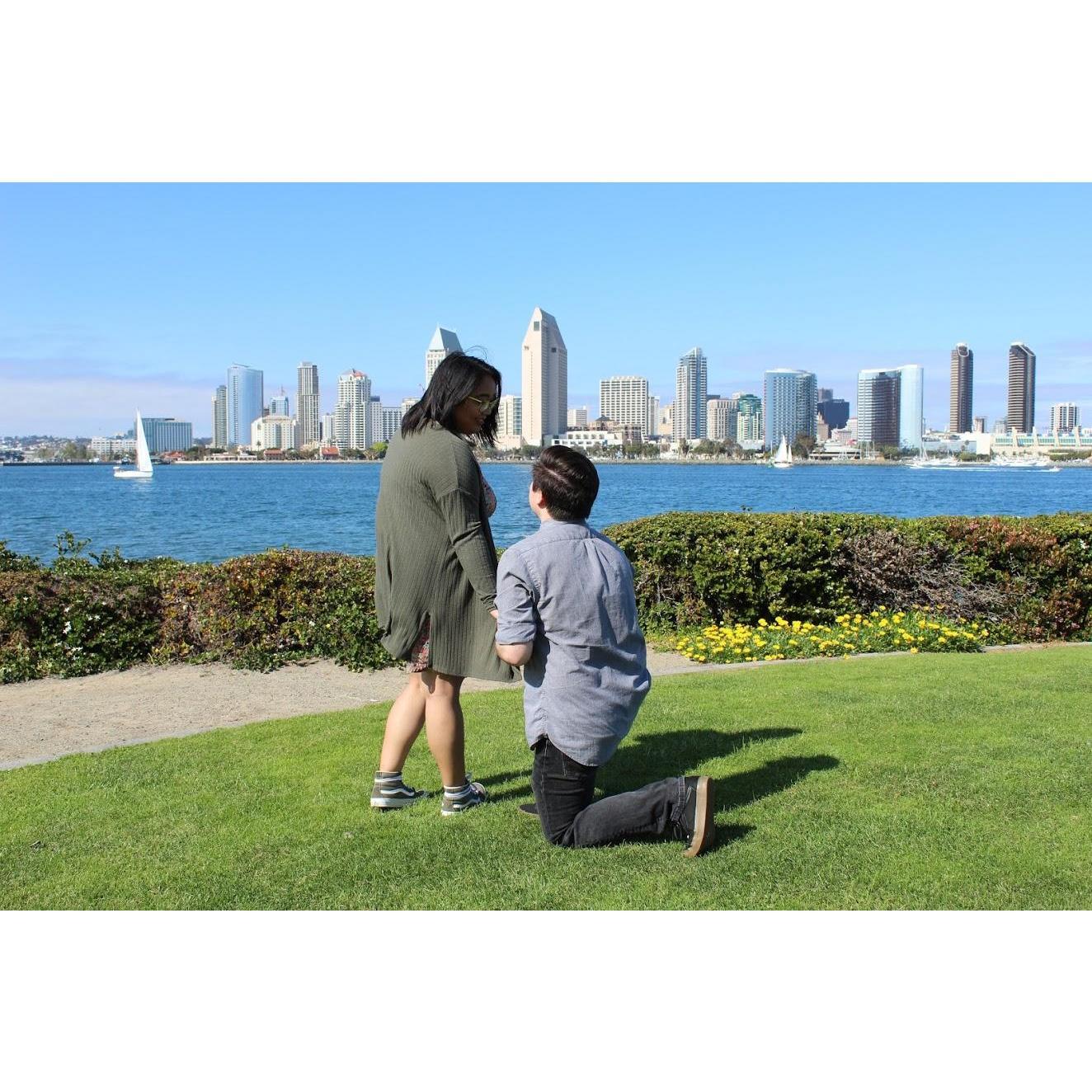 The Proposal, April 7, 2018