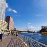 Tampa Riverwalk
